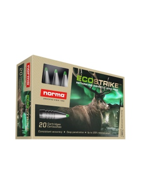 Norma Ecostrike 30-06 165gr / 10,7g