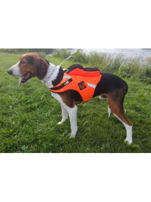 Tracker Kardog Raipe Gps Vest