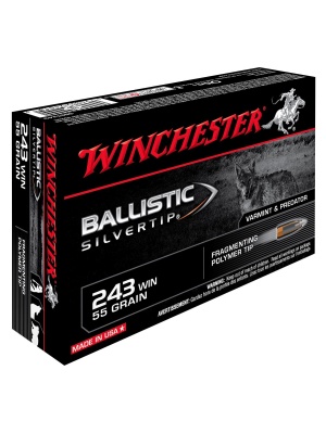 Winchester Ballistic Silvertip 243win 95g