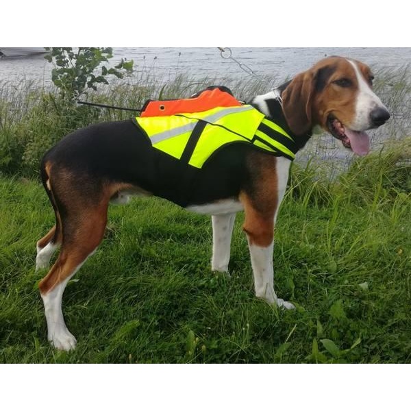 Tracker Kardog Raipe Gps Vest